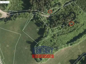 Prodej lesa, Lužná, 13657 m2