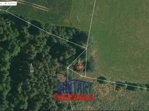 Prodej lesa, Čepřovice, 2819 m2