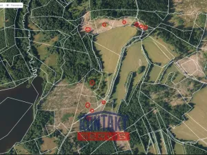 Prodej lesa, Studená - Horní Pole, 47225 m2