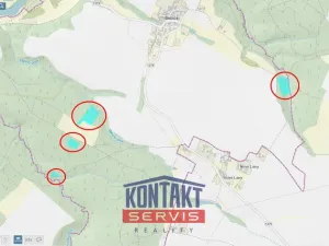 Prodej lesa, Bečice, 23812 m2