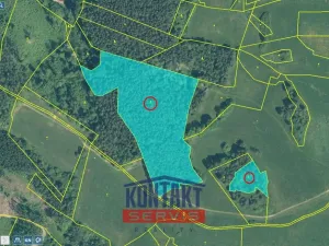 Prodej lesa, Jickovice, 32955 m2