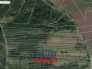 Prodej lesa, Jickovice, 32955 m2