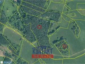 Prodej lesa, Jickovice, 32955 m2