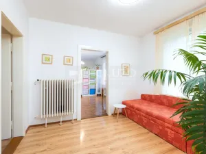 Prodej bytu 3+1, Mladá Boleslav, Boženy Němcové, 84 m2