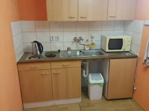 Pronájem obchodního prostoru, Haňovice, 500 m2