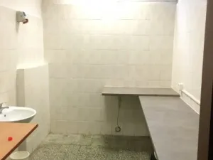 Pronájem obchodního prostoru, Ostrava, Vietnamská, 166 m2