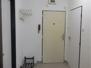 Pronájem bytu 1+1, České Budějovice - České Budějovice 3, Nerudova, 39 m2