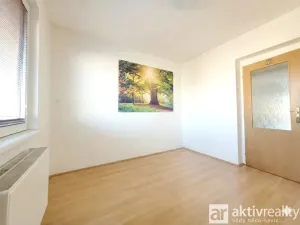 Pronájem rodinného domu, Neratovice, Nerudova, 220 m2