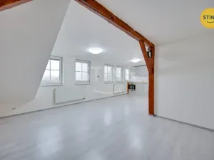 Pronájem bytu 1+kk, Olomouc, Jablonského, 38 m2