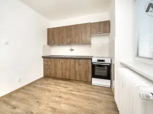 Pronájem bytu 1+1, Milevsko, P. Bezruče, 28 m2