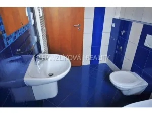 Pronájem bytu 2+kk, České Budějovice - České Budějovice 5, Dělnická, 35 m2