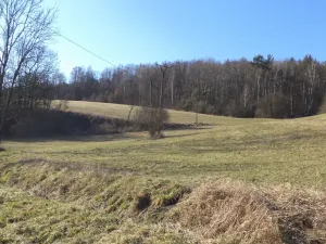 Prodej pole, Úštěk - Tetčiněves, 4600 m2