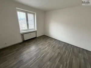Pronájem bytu 1+1, Most, Lesní, 30 m2