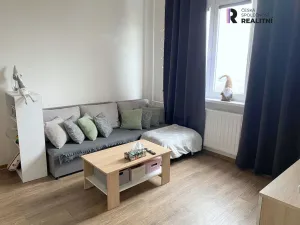 Pronájem bytu 1+1, Sokolov, Švabinského, 39 m2