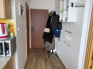 Pronájem bytu 1+1, Sokolov, Švabinského, 39 m2