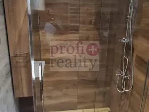 Pronájem bytu 1+kk, Frýdek-Místek, Petra Cingra, 50 m2