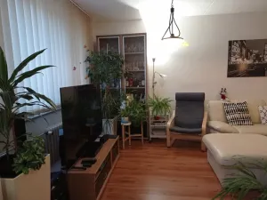 Pronájem bytu 4+kk, Mikulov, St. Živného, 91 m2