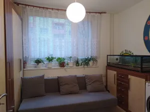 Pronájem bytu 4+kk, Mikulov, St. Živného, 91 m2