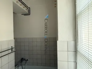 Prodej bytu 2+1, Ostrava - Hrabůvka, Jubilejní, 81 m2