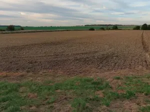 Prodej pole, Vlkaneč, 43901 m2