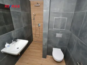 Pronájem bytu 1+kk, Plzeň, Na Roudné, 41 m2