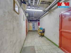 Pronájem skladu, Plzeň - Jižní Předměstí, Husova, 371 m2