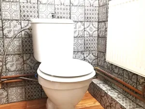 Prodej rodinného domu, Křinec, Dr. Chmelaře, 110 m2