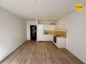 Pronájem bytu 1+kk, Frýdek-Místek, Hasičská, 27 m2
