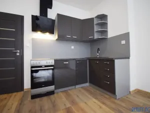 Pronájem bytu 3+kk, Ústí nad Labem - Střekov, Zeyerova, 50 m2