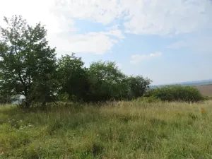 Dražba zahrady, Ploskovice, 23378 m2