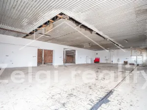 Pronájem výrobních prostor, Milotice, 550 m2