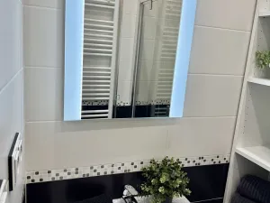 Pronájem bytu 2+1, Hradec Králové - Pražské Předměstí, U Koruny, 65 m2