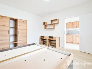 Pronájem bytu 1+1, Brno - Židenice, Bubeníčkova, 25 m2