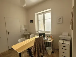 Pronájem kanceláře, Brno, Josefská, 100 m2