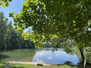 Prodej rodinného domu, Rodvínov, 134 m2