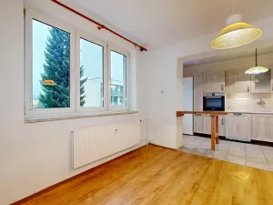 Prodej bytu 3+1, Týnec nad Sázavou, Jílovská, 71 m2