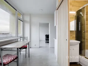 Pronájem bytu 3+1, Most, U Věžových domů, 64 m2