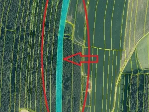 Prodej lesa, Ločenice, 11790 m2