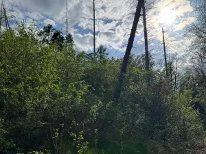 Prodej pozemku, Boršov nad Vltavou, 7673 m2