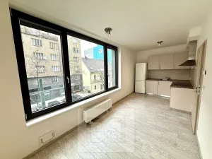 Pronájem bytu 1+kk, Praha - Karlín, Sokolovská, 40 m2