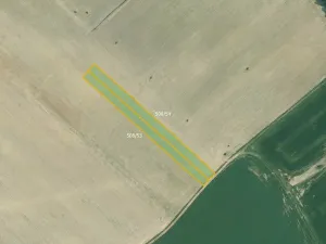 Prodej pole, Olešník, 5978 m2