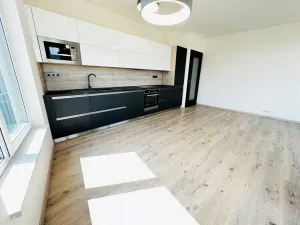 Pronájem bytu 2+kk, Ostrava - Moravská Ostrava, F. X. Riepla, 60 m2