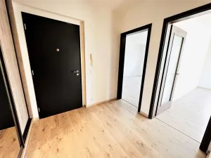 Pronájem bytu 2+kk, Ostrava - Moravská Ostrava, F. X. Riepla, 60 m2