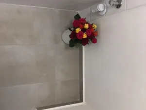 Pronájem bytu 2+1, Ostrava - Hrabůvka, Dr. Martínka, 52 m2