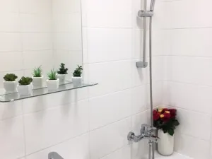 Pronájem bytu 2+1, Ostrava - Hrabůvka, Dr. Martínka, 52 m2