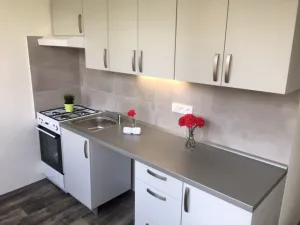 Pronájem bytu 2+1, Ostrava - Hrabůvka, Josefa Kotase, 50 m2