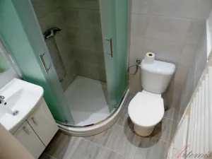 Pronájem bytu 1+1, Ostrava - Zábřeh, Čujkovova, 30 m2