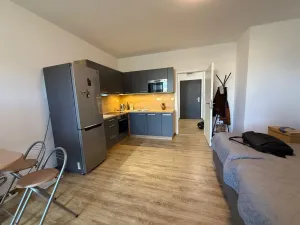 Pronájem bytu 1+kk, Ústí nad Labem - Ústí nad Labem-centrum, Velká Hradební, 40 m2