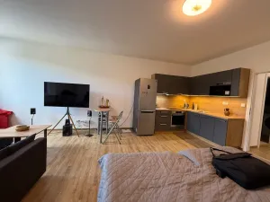 Pronájem bytu 1+kk, Ústí nad Labem - Ústí nad Labem-centrum, Velká Hradební, 40 m2