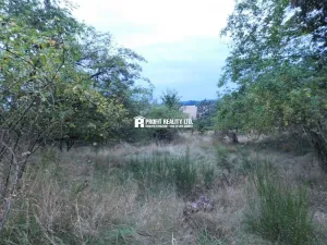 Prodej pozemku pro bydlení, Dubá - Zátyní, 2213 m2